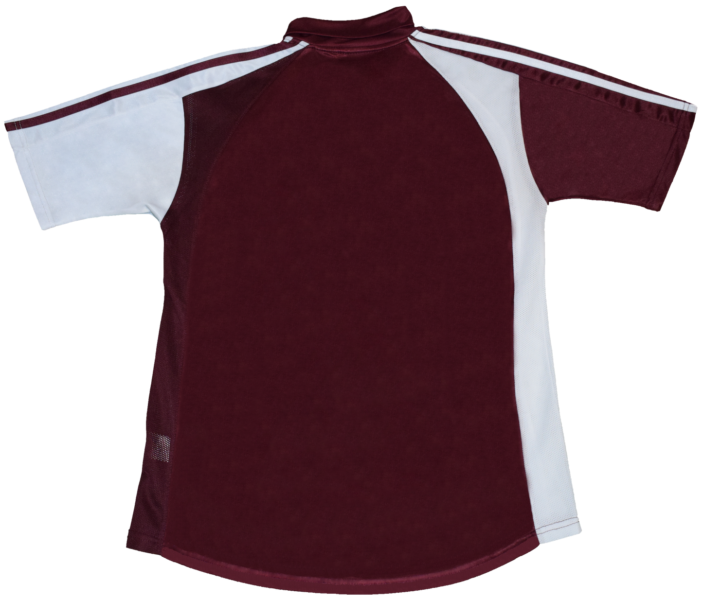 AEL Larisa 2008/09 Εντός έδρας Εμφάνιση Medium