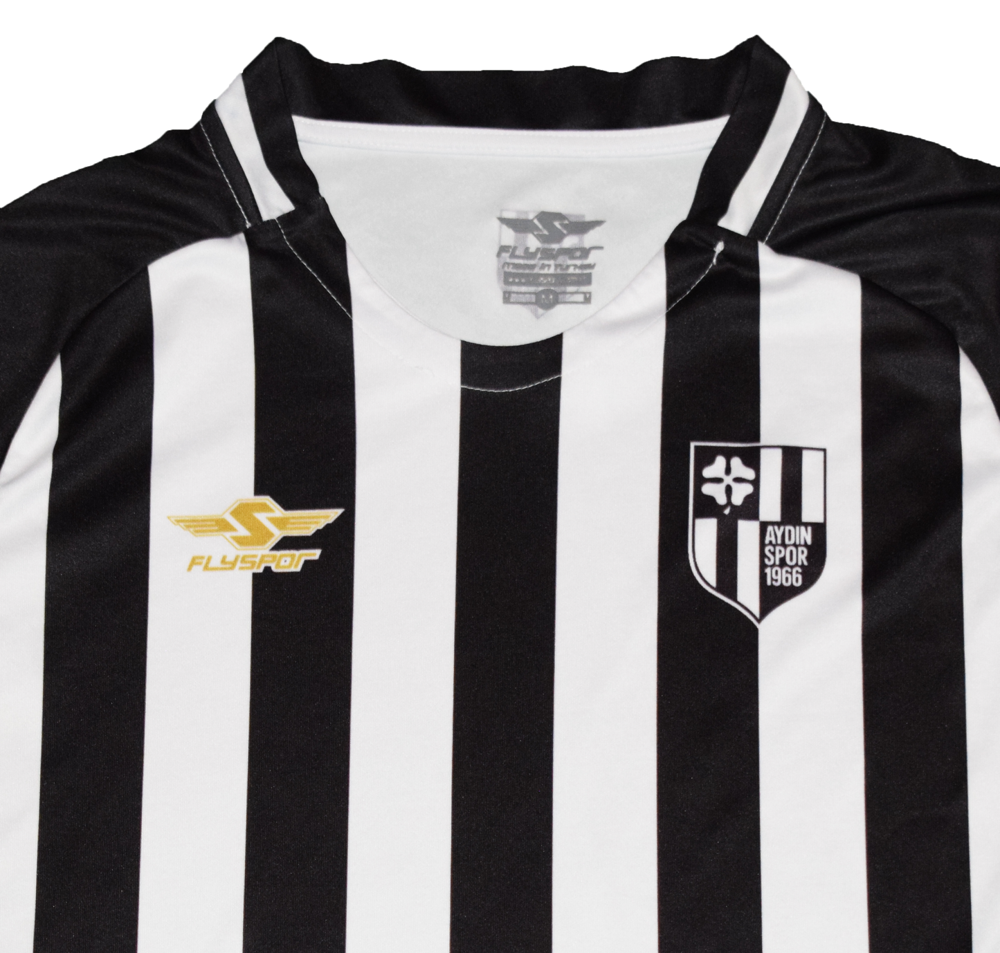 Aydinspor 2018/19 Εντός έδρας Εμφάνιση Medium