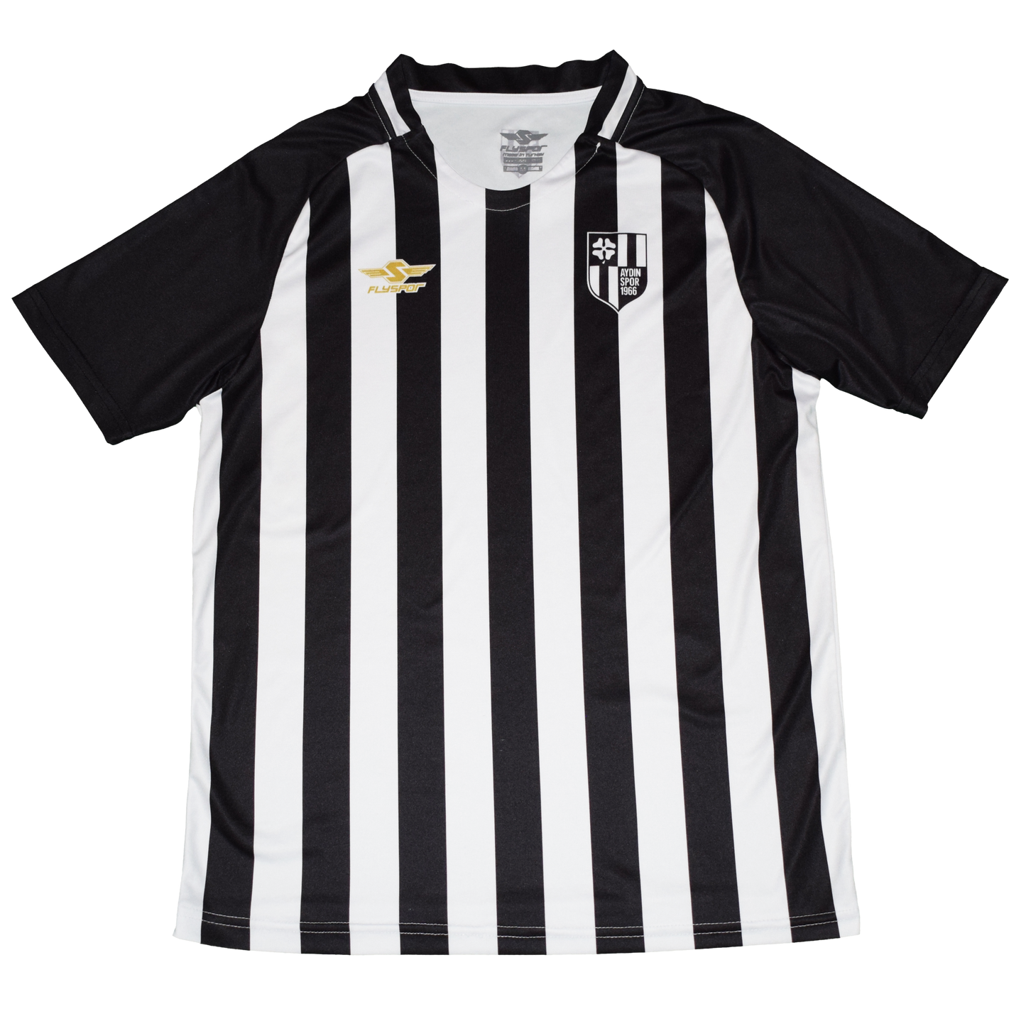 Aydinspor 2018/19 Εντός έδρας Εμφάνιση Medium