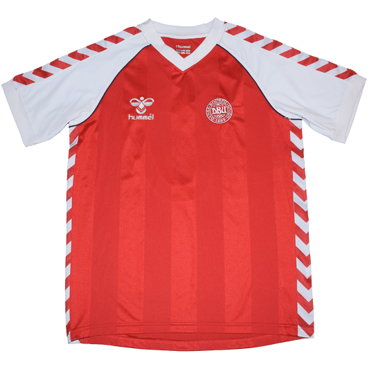 Denmark 1984 EURO Home kit Large