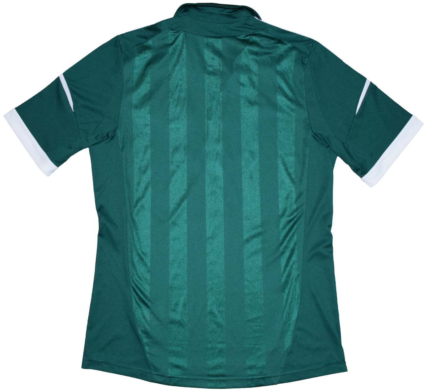 Panathinaikos 2012/13 Home kit Large
