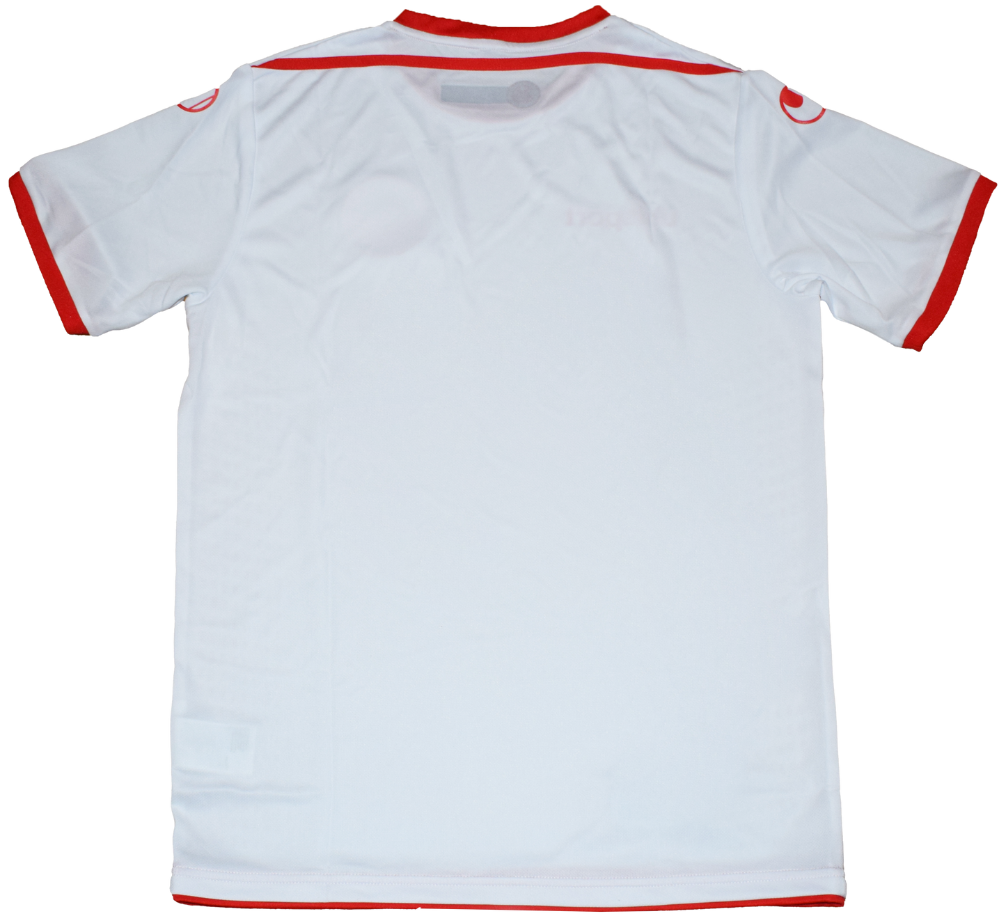 Tunisia 2018 WORLD CUP Home kit Small BNWT