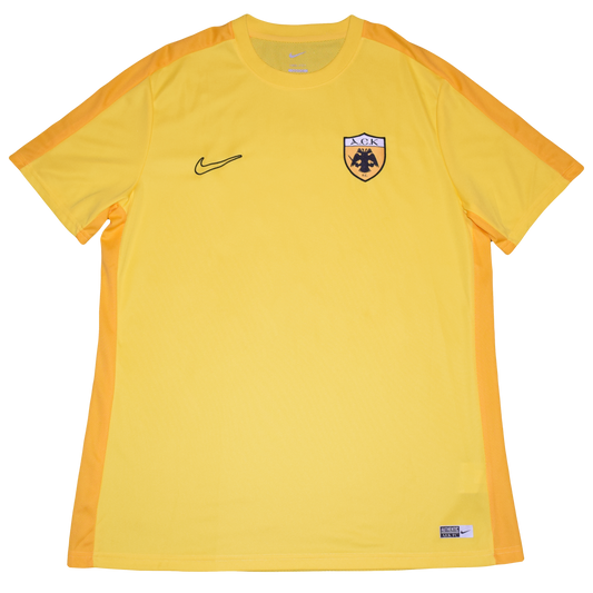 AEK Athens 2023/24 Training kit XL