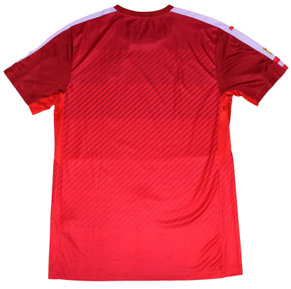 Austria 2016 Home kit Medium