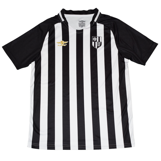 Aydinspor 2018/19 Εντός έδρας Εμφάνιση Medium
