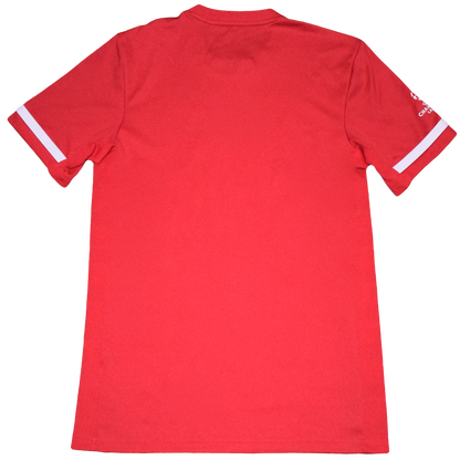 Bayern München 2018/19 Champions League Training kit Small