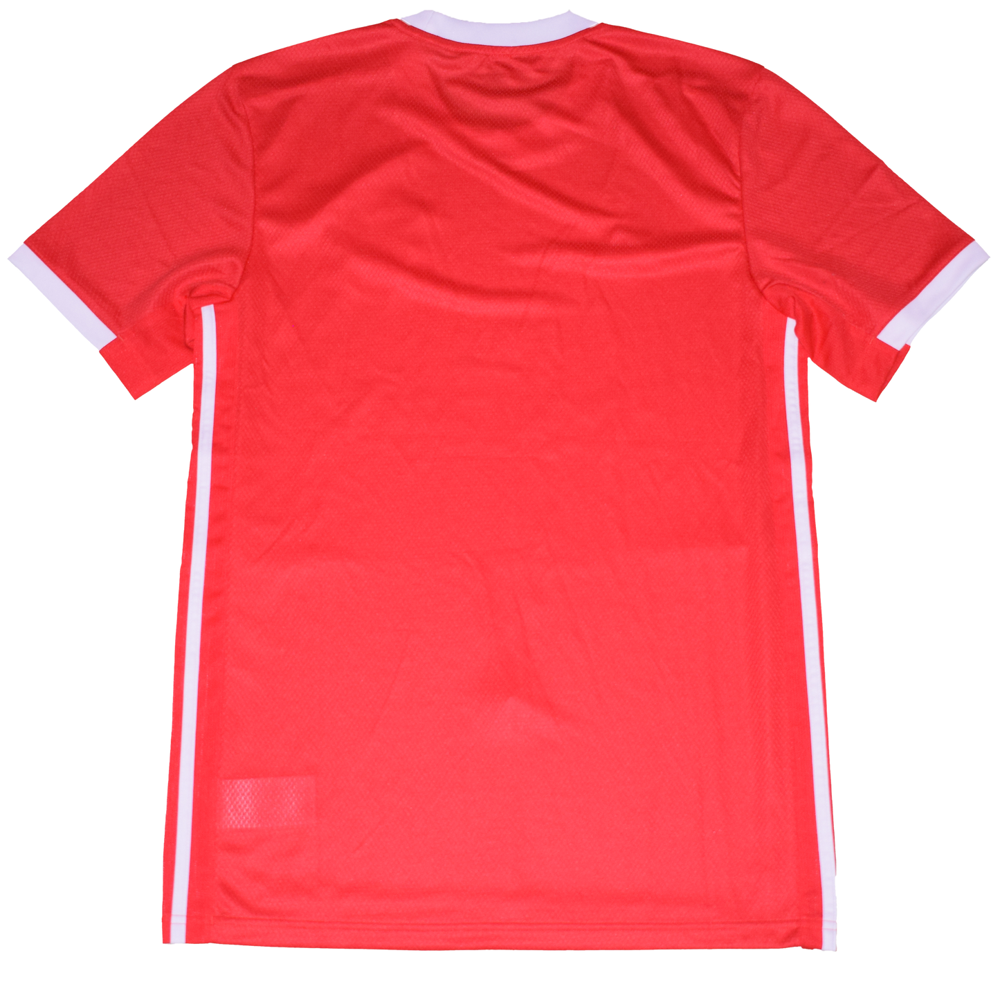 Benfica 2019/20 Home kit Small