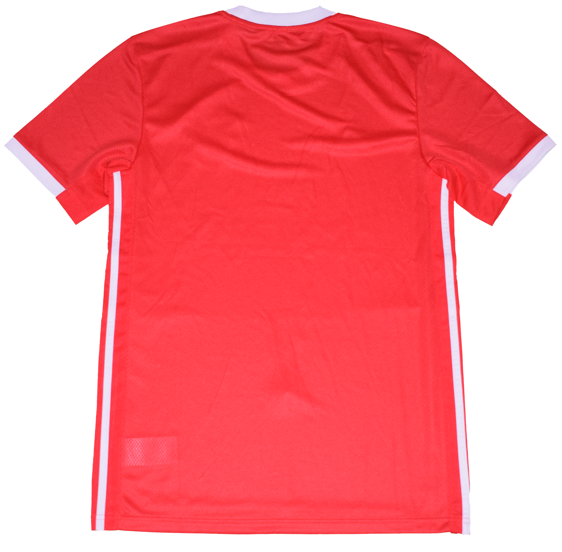 Benfica 2019/20 Home kit Small