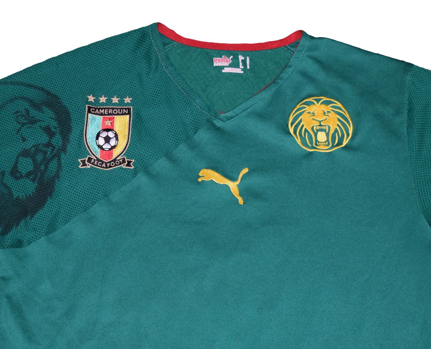 Καμερούν 2010 WORLD CUP Εντός έδρας Εμφάνιση Medium