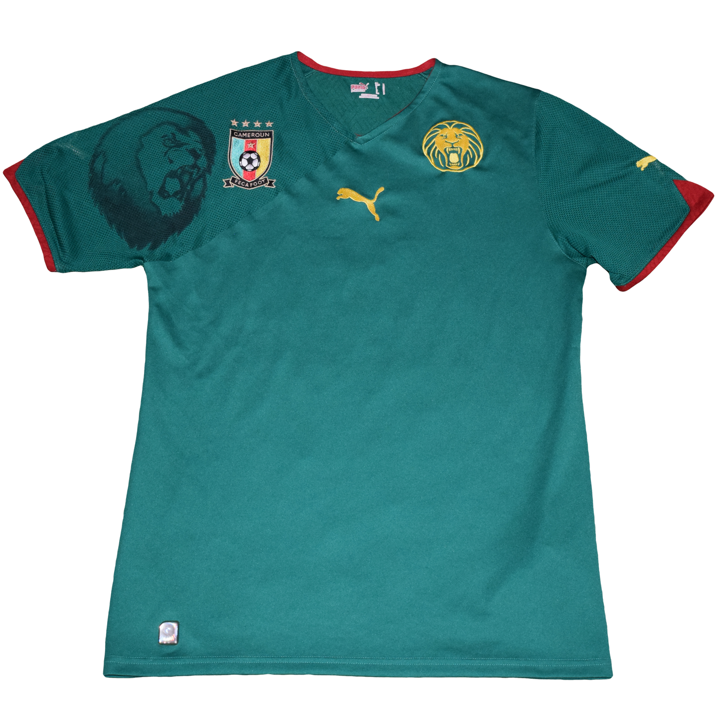Καμερούν 2010 WORLD CUP Εντός έδρας Εμφάνιση Medium