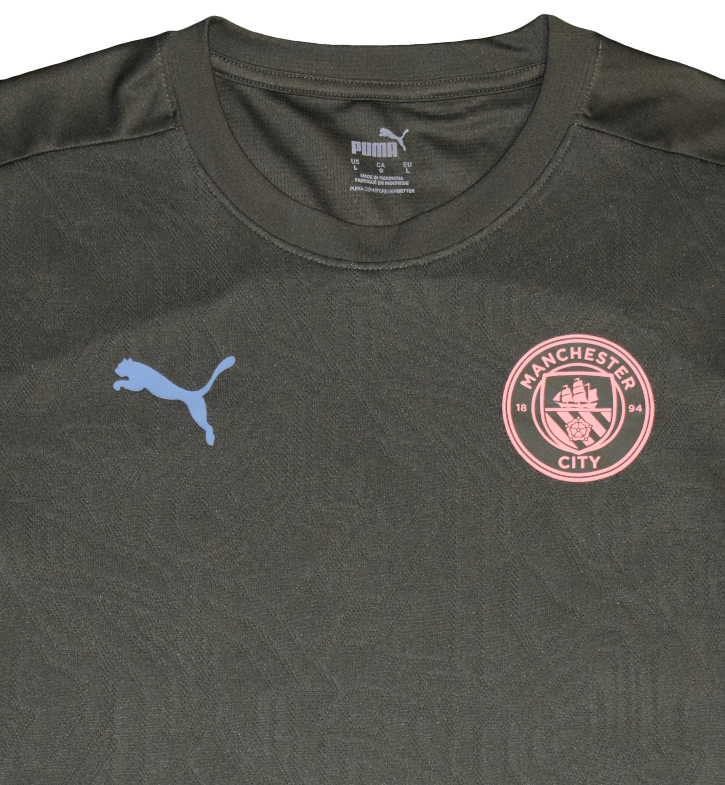 Manchester City 2024/25 Training kit Large