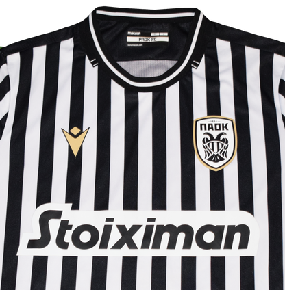 ΠΑΟΚ 2020/21 Εντός Έδρας Εμφάνιση Large