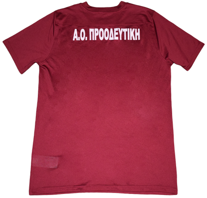  Προοδευτική 2015/16 Εντός έδρας Εμφάνιση Large