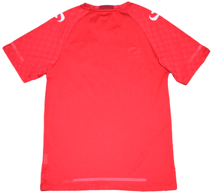 FC Twente 2017/18 Εντός έδρας Εμφάνιση Small