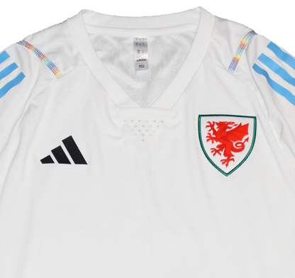Wales 2022 World Cup Pre Match kit Small
